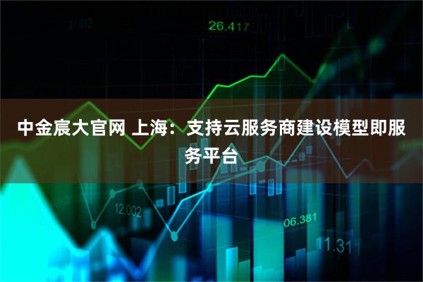 中金宸大官网 上海：支持云服务商建设模型即服务平台